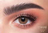 Dahab Contact Lenses - Cat Eye - نضاره دوت كوم | رقم 1 للنظارات الأصليه في مصر
