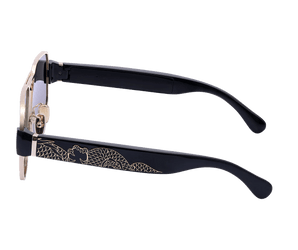 Dragon Smart Sunglasses - نضاره دوت كوم | رقم 1 للنظارات الأصليه في مصر