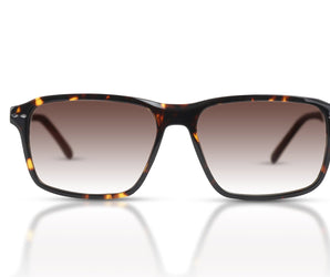 Falcon Square Men Sunglasses - Full - Frame - نضاره دوت كوم | رقم 1 للنظارات الأصليه في مصر