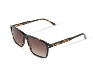 Falcon Square Men Sunglasses - Full - Frame - نضاره دوت كوم | رقم 1 للنظارات الأصليه في مصر