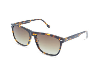 Falcon Square Women's Sunglasses(UV) - نضاره دوت كوم | رقم 1 للنظارات الأصليه في مصر