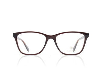 Sunflower Cat Eye Women's Optical Frame - نضاره دوت كوم | رقم 1 للنظارات الأصليه في مصر