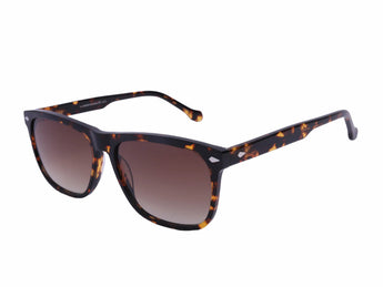 Falcon 3230 - c5 Square Full - Frame Sunglasses - Unisex - نضاره دوت كوم | رقم 1 للنظارات الأصليه في مصر
